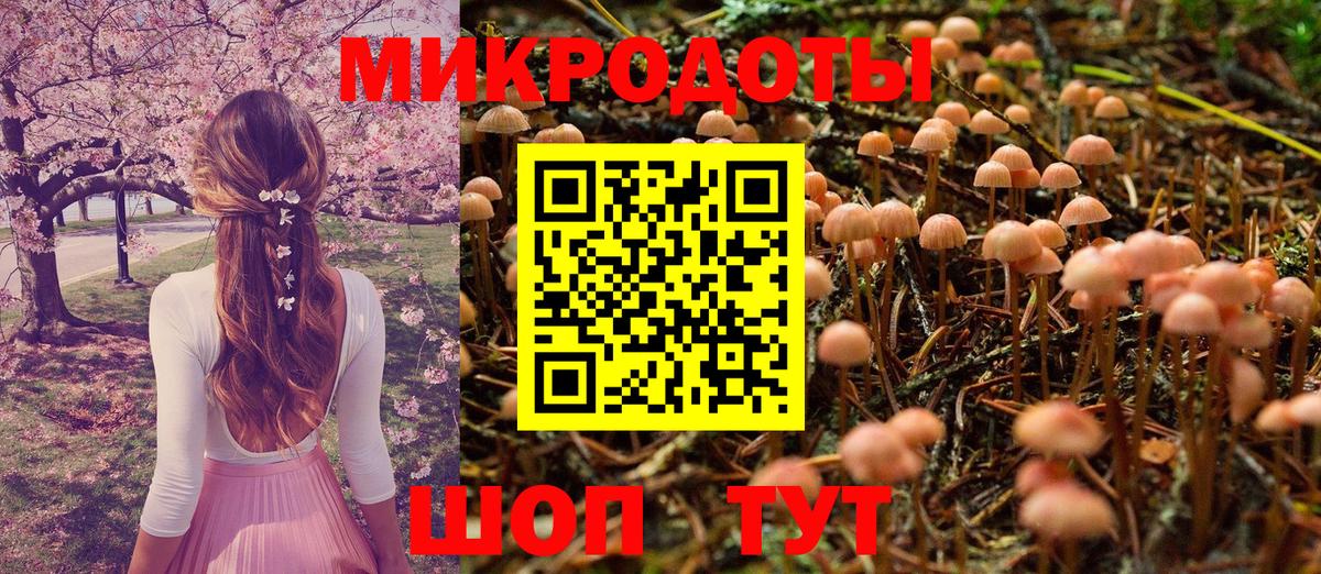 Котлас  Псилоцибиновые грибы прущие грибы  Вход с VPN 